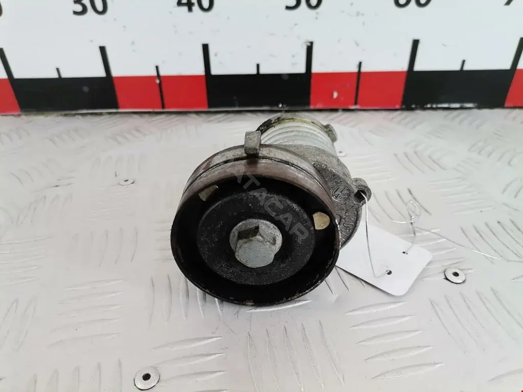 Натяжитель ремня генератора 0066475, 0100, 01TES0024RA