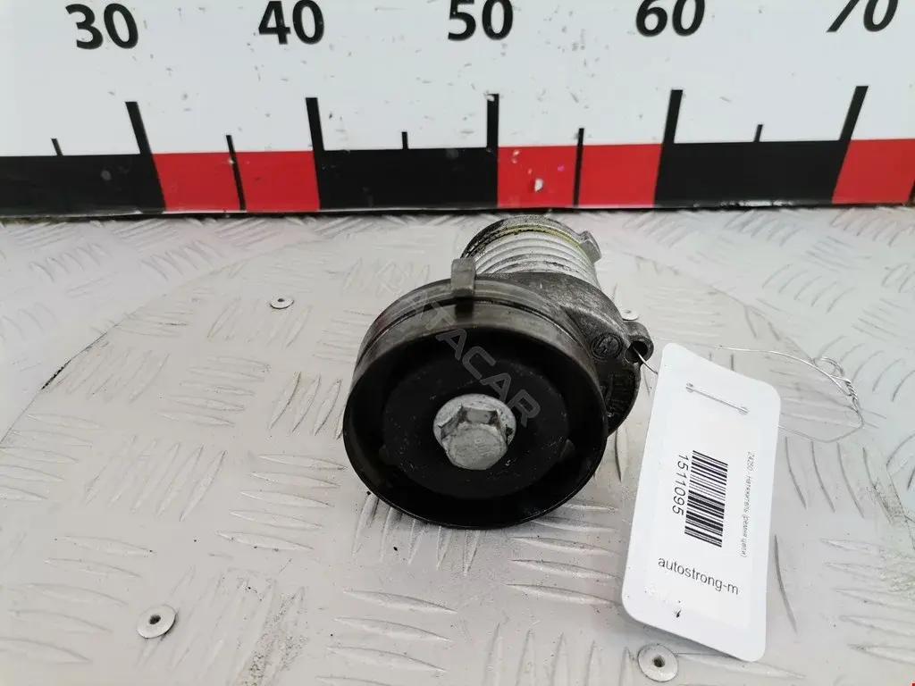 Натяжитель ремня генератора 0066475, 0100, 01TES0024RA