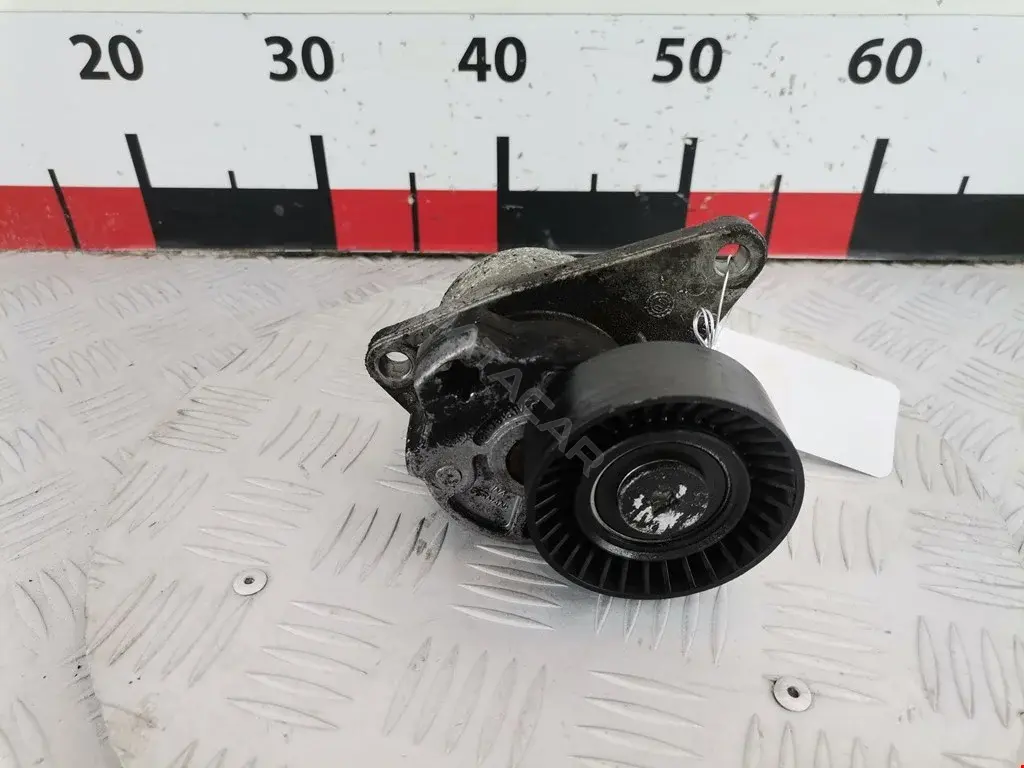 Натяжитель ремня генератора 0340114SX, 0340995SX, 0380139