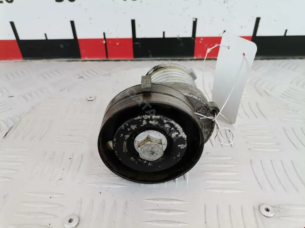 Натяжитель ремня генератора 0066475, 0100, 01TES0024RA