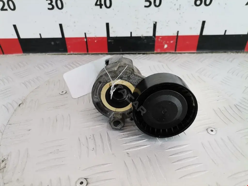 Натяжитель ремня генератора 117303662R, 119100SP, 1195500Q1F