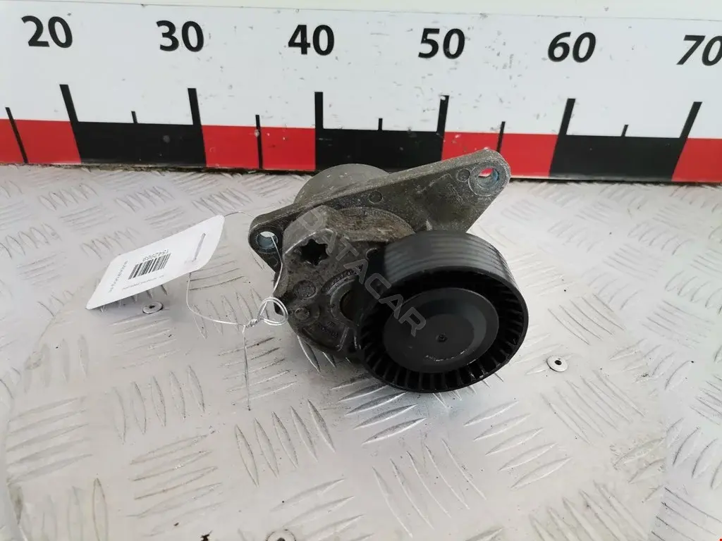 Натяжитель ремня генератора 0340114SX, 0340995SX, 0380139