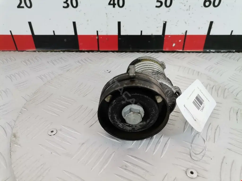 Натяжитель ремня генератора 0066475, 0100, 01TES0024RA