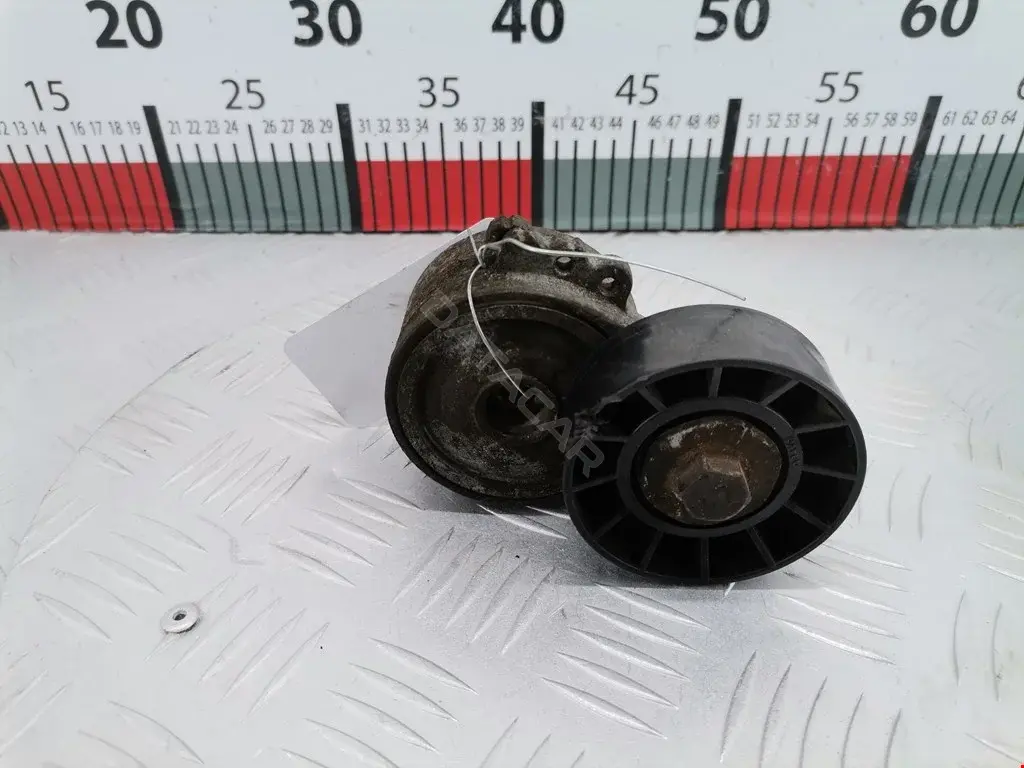 Натяжитель ремня генератора 0340146SX, 0341181SX, 1215467