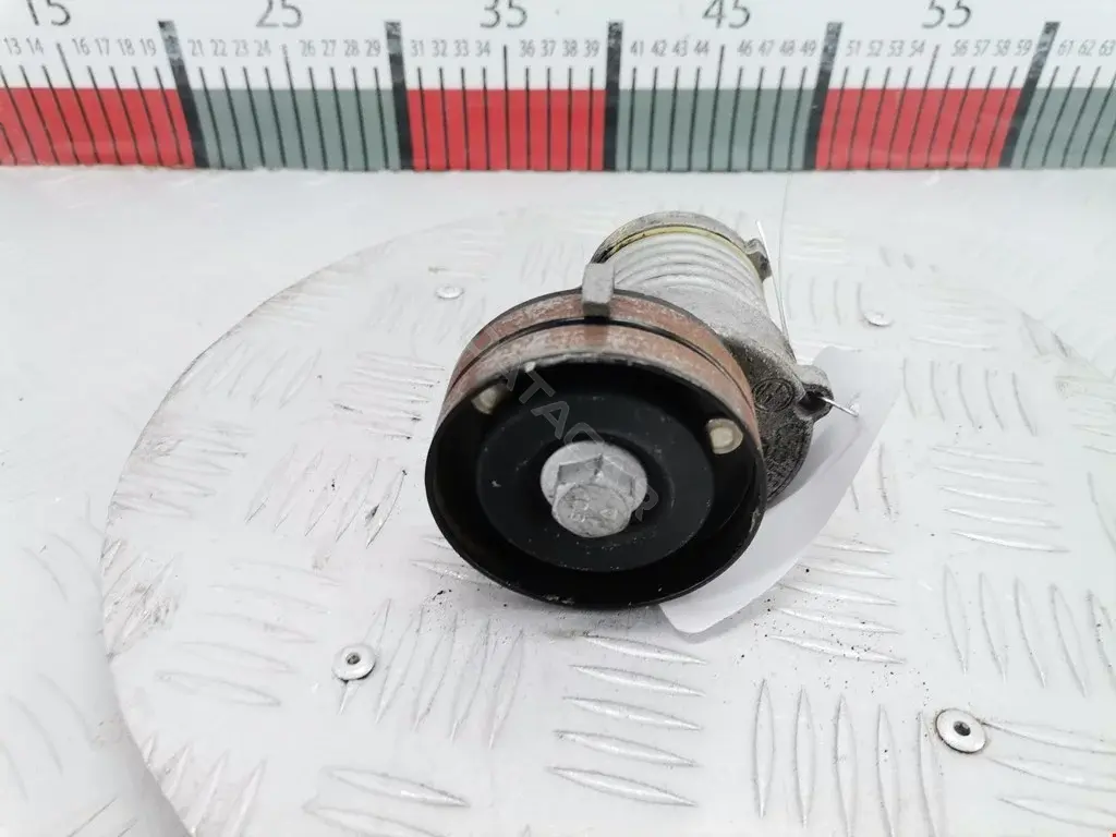 Натяжитель ремня генератора 0023003916, 0100, 02311