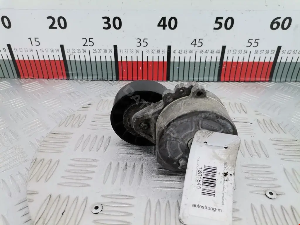 Натяжитель ремня генератора 0N2046, 1253954, 1318336