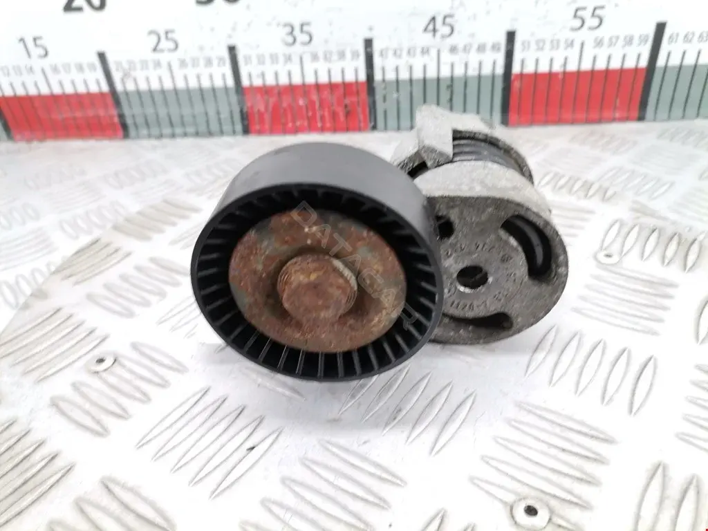 Натяжитель ремня генератора 0011018972, 0340781SX, 0N1794S