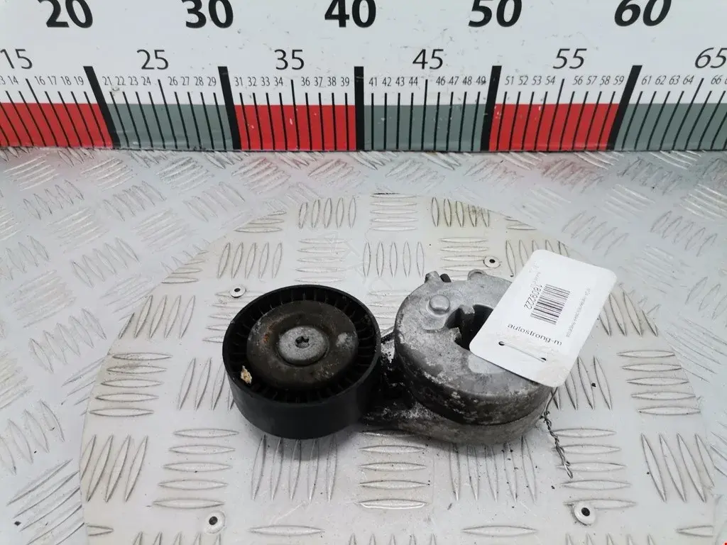 Натяжитель ремня генератора 00X14762, 0340673SX, 0341093SX
