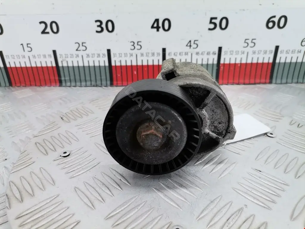 Натяжитель ремня генератора 0340114SX, 0340995SX, 0380139