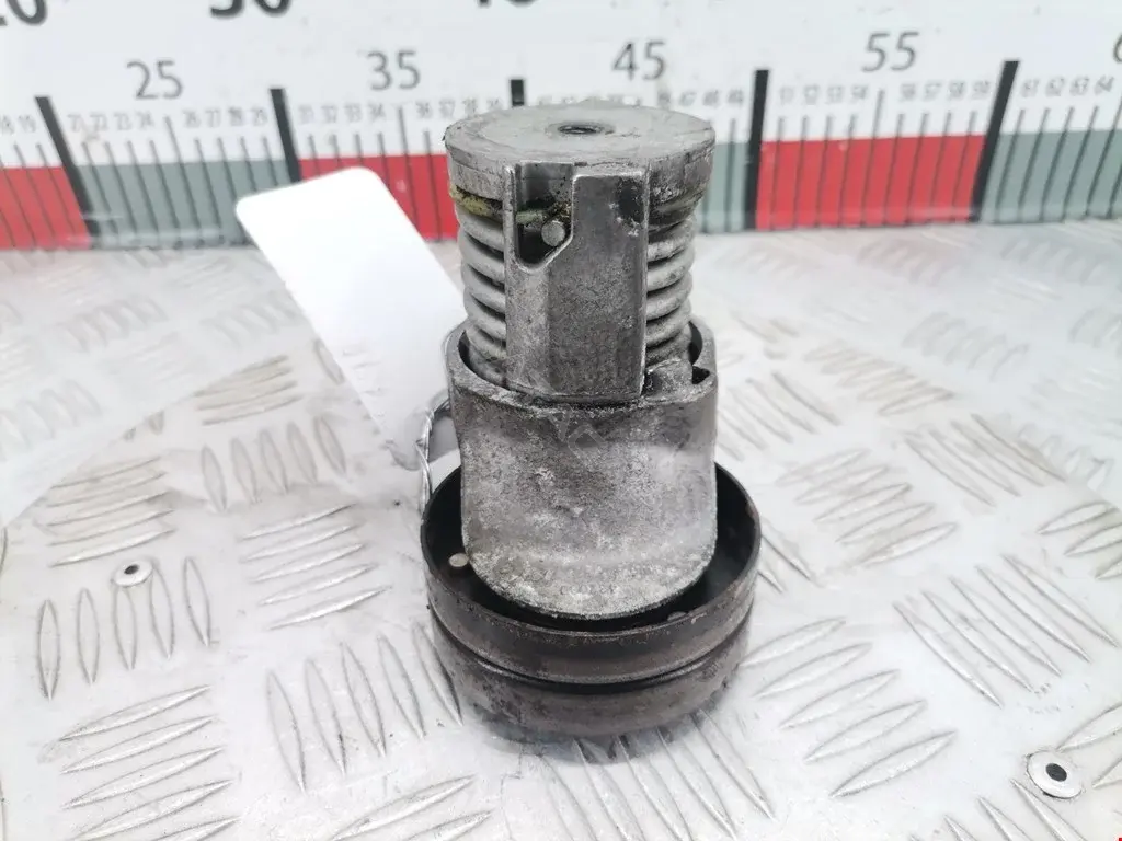 Натяжитель ремня генератора 0340282SX, 0381007, 038903315AG
