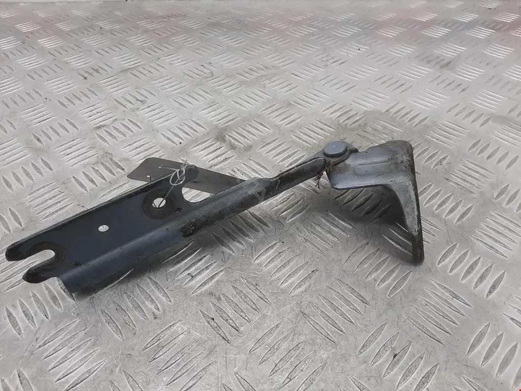 Петля капота GE4T52410