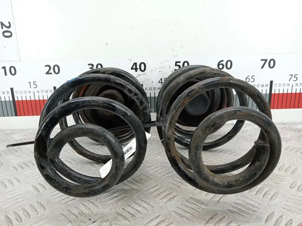 Пружины 0424321, 1022245SX, 13334224