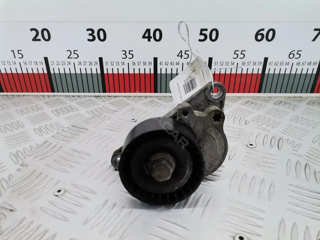 Натяжитель ремня генератора 1172000Q0C, 184509, 529031710