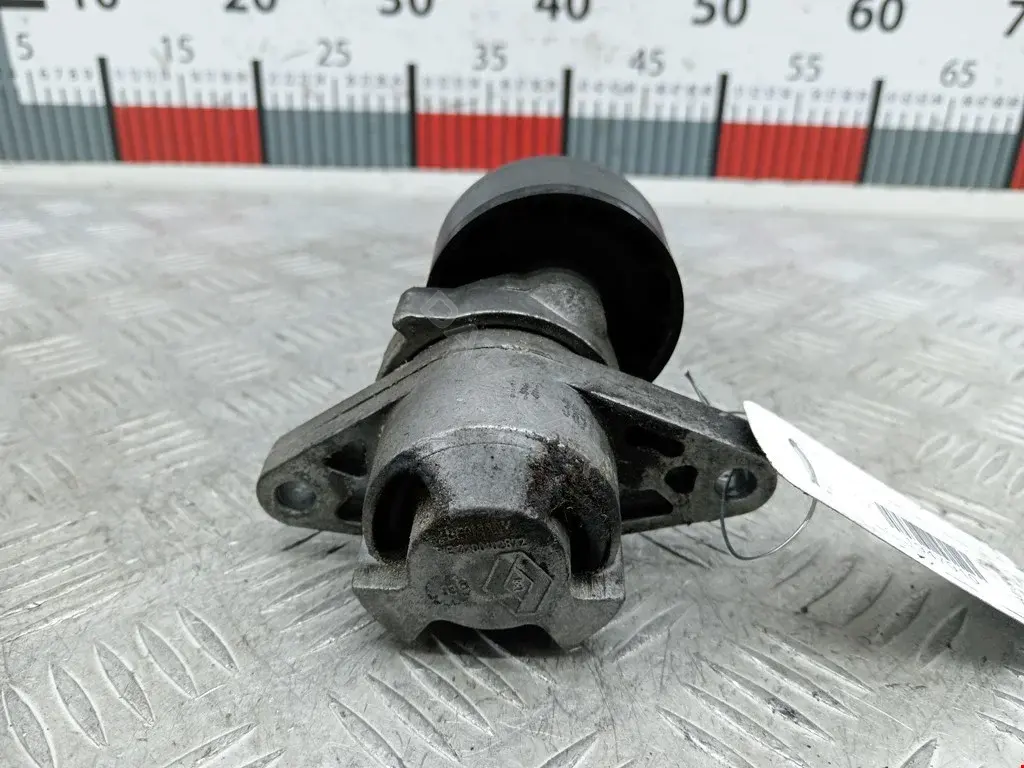 Натяжитель ремня генератора 1175000Q0F, 1192500Q0D, 1192500QAA
