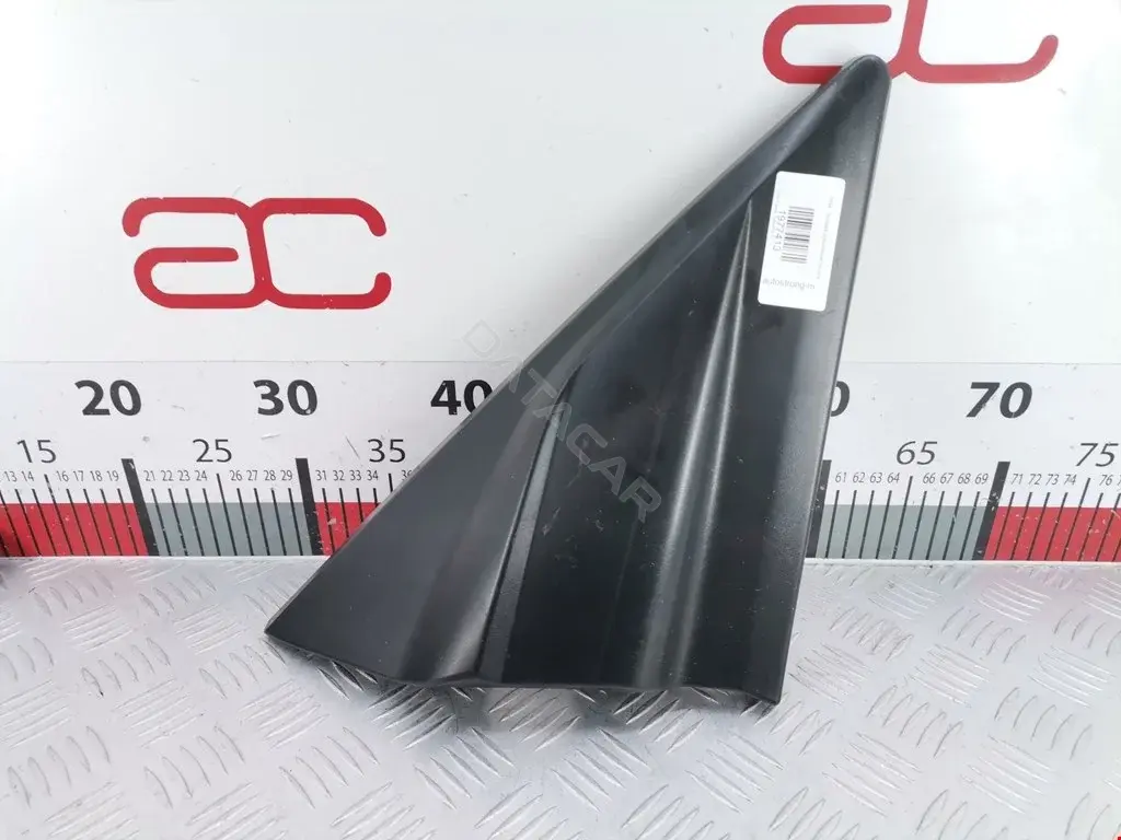 Крышка зеркала BK21V16004BFW