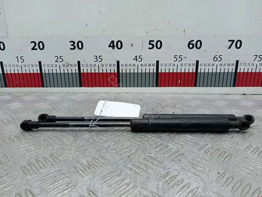 Амортизатор крышки багажника, капота, заднего стекла 00652800, 0244HW, 10100408