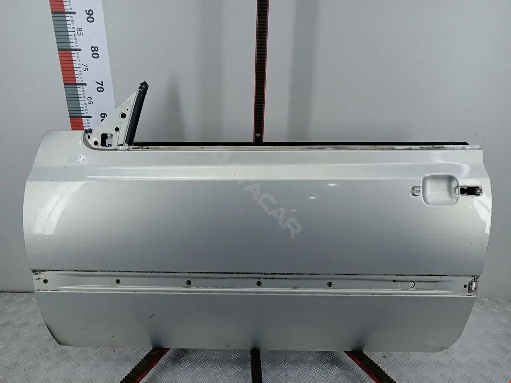Дверь 1E0831055B