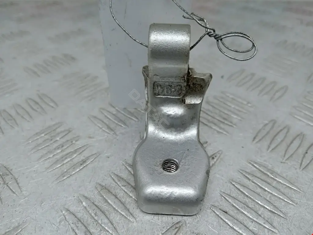 Петля двери 2172901