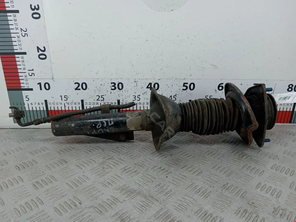 Амортизаторы 2204295