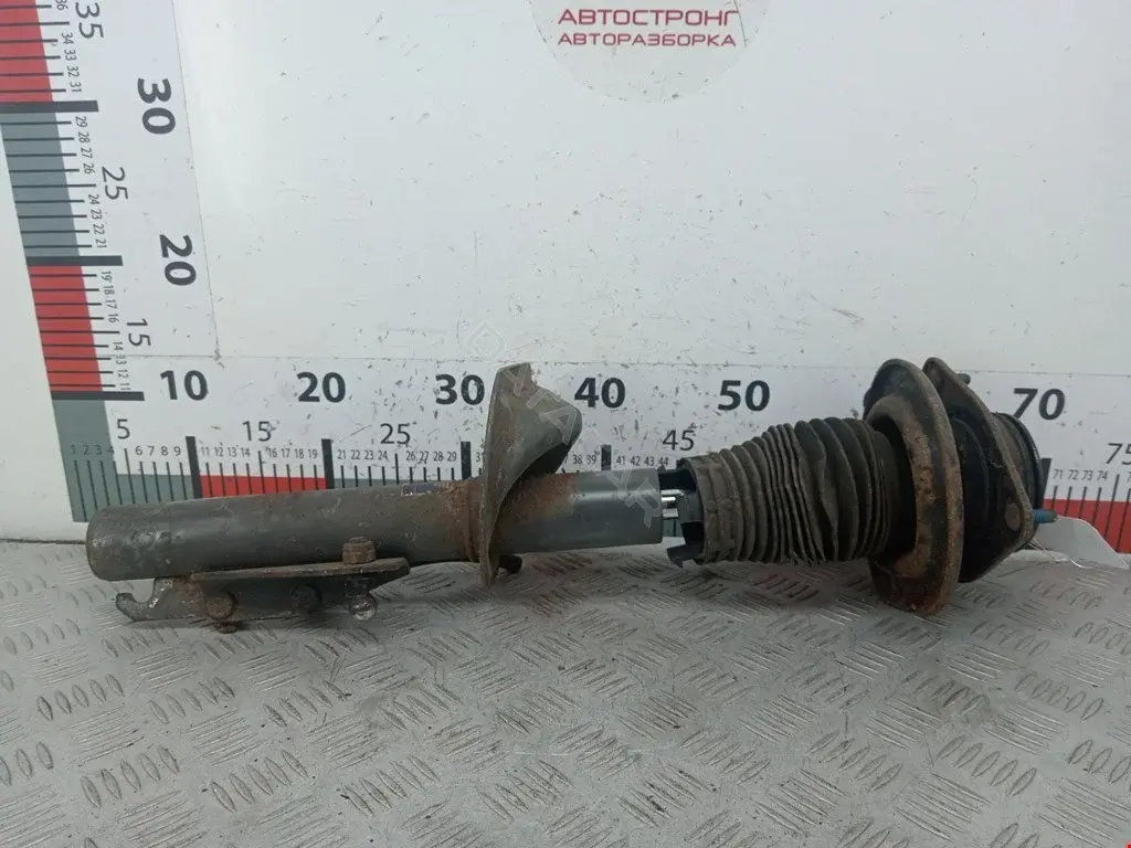 Амортизаторы 2204382