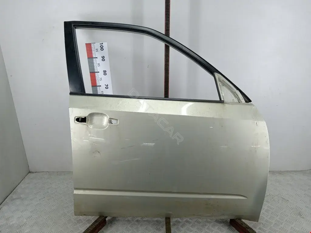 Дверь 60009SC0219P