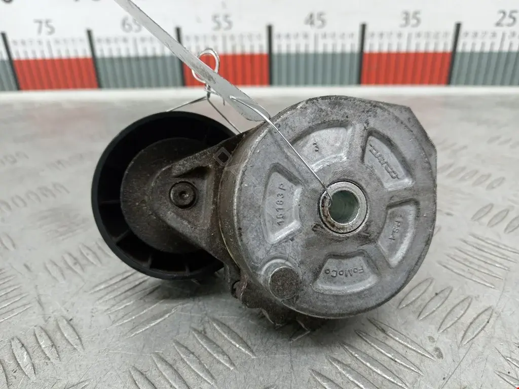Натяжитель ремня генератора 0340563SX, 0N2116, 1222183