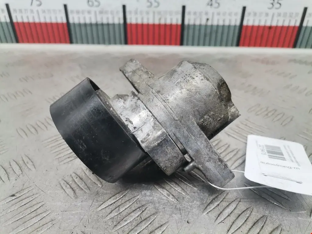 Натяжитель ремня генератора 117503662R, PT3035, V460728