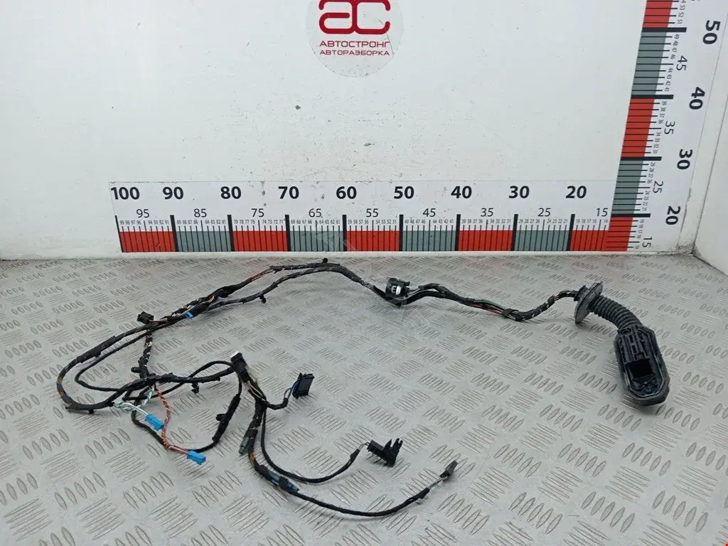 Проводка двери 920785003