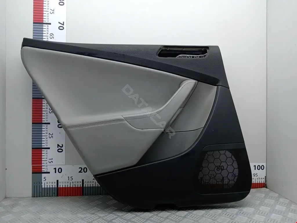 Дверная карта 3C9867211DL, 3С5867211