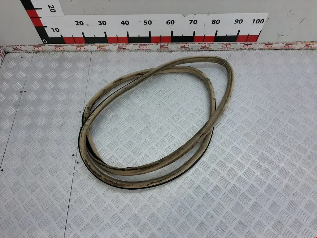 Уплотнитель двери 51218223659