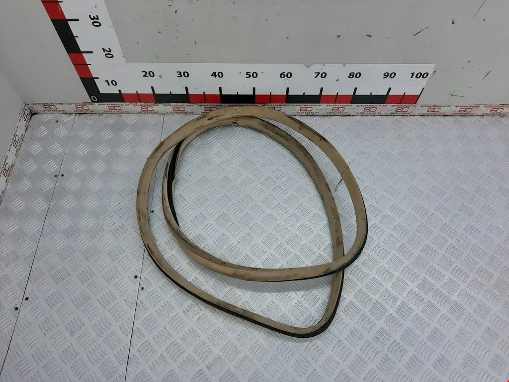 Уплотнитель двери 51218223659