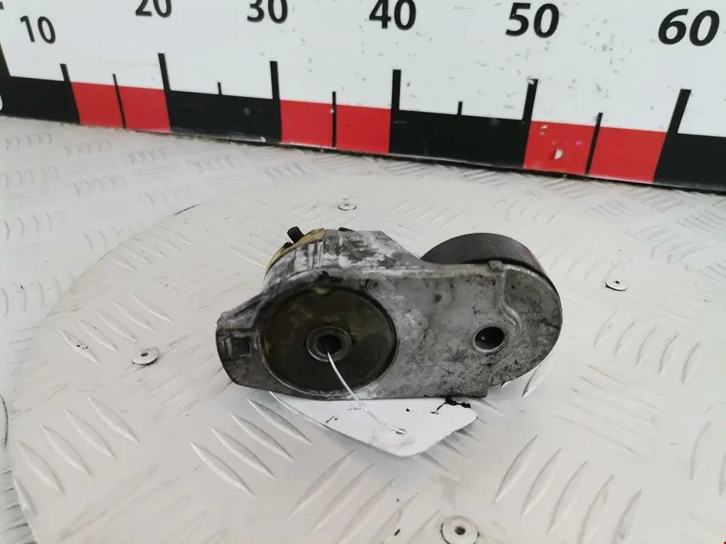 Натяжитель ремня генератора 0220A60FD, 0340334SX, 0340515SX