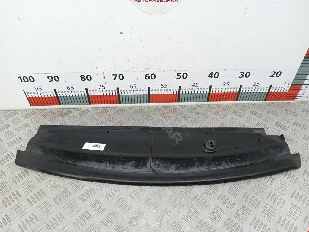Защита радиатора 51717131757