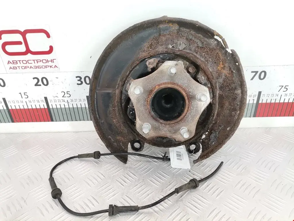 Ступица колеса 402022933R, 43202JG000, WH1231