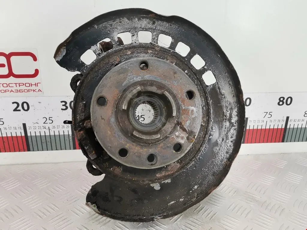 Ступица колеса 7L0498287, WB1207