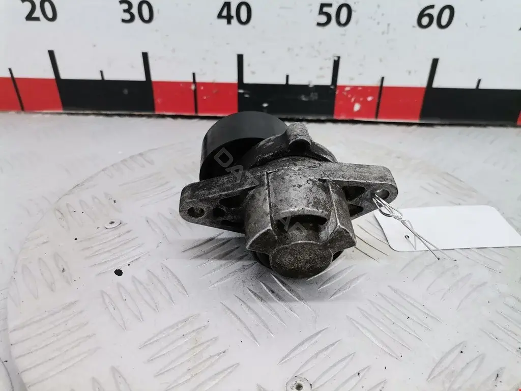 Натяжитель ремня генератора 1175000Q0F, 1192500Q0D, 1192500QAA