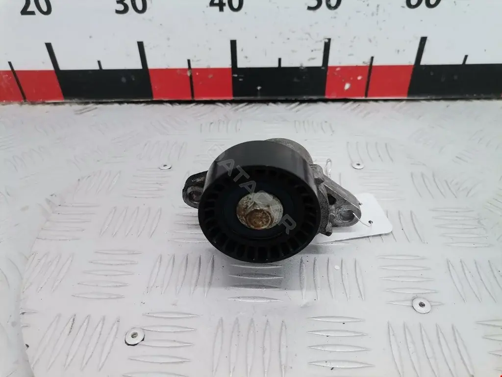 Натяжитель ремня генератора 1175000Q0F, 1192500Q0D, 1192500QAA