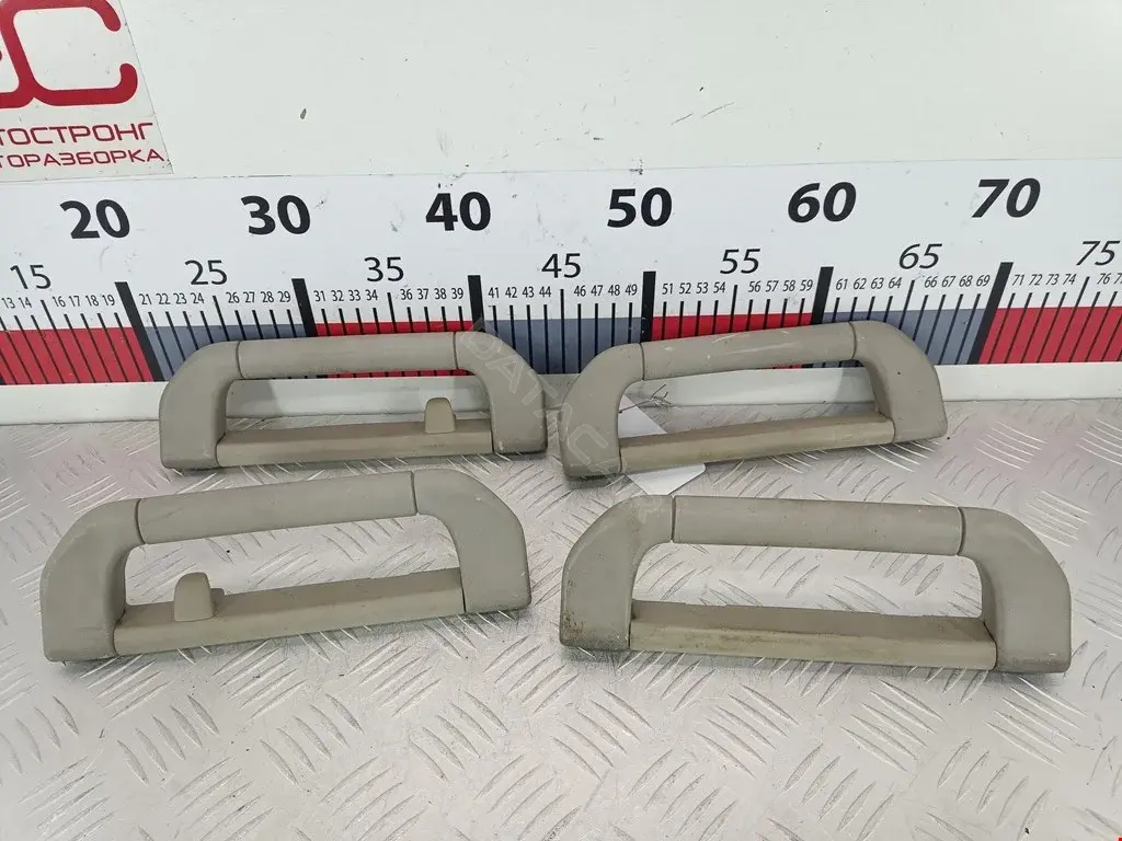 Ручка внутренняя потолочная 51168174719