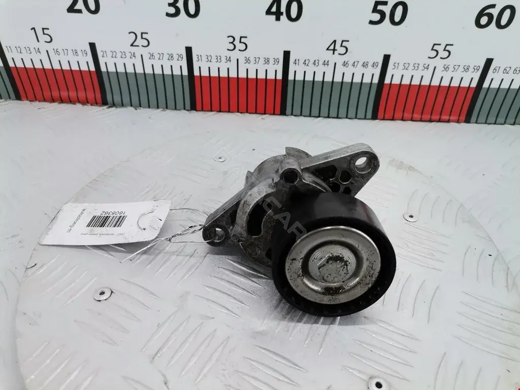 Натяжитель ремня генератора 1175000Q0F, 1192500Q0D, 1192500QAA