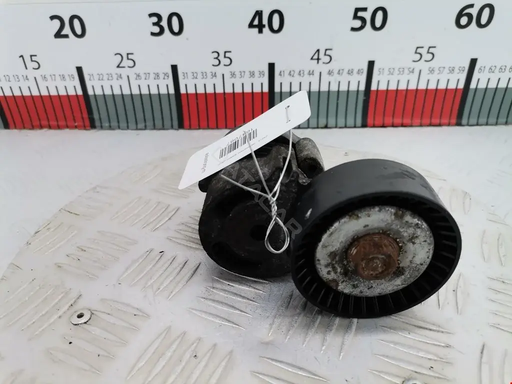 Натяжитель ремня генератора 0011018972, 0340781SX, 0N1794S