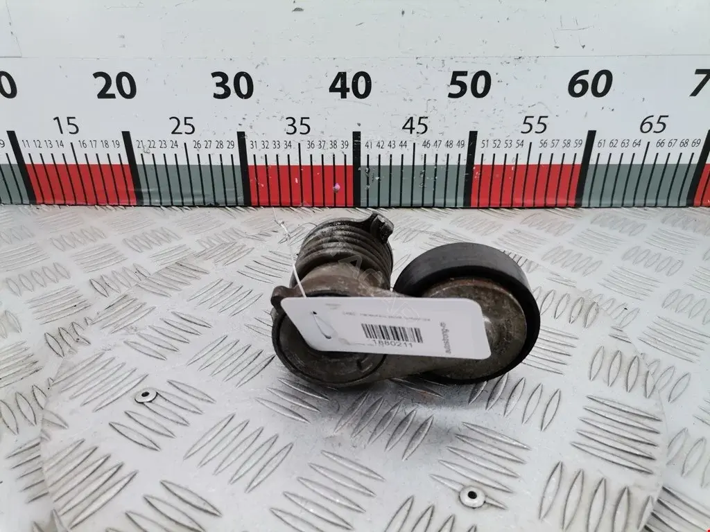 Натяжитель ремня генератора 0790, 0N1554S, 1374427