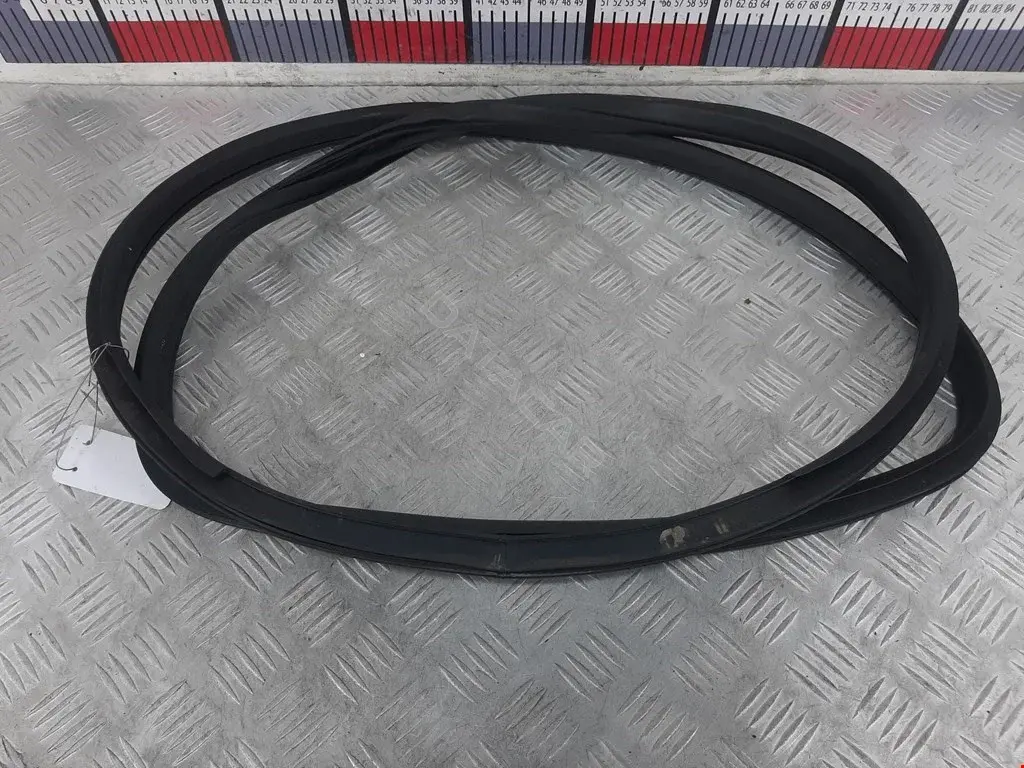 Уплотнитель двери 769231KA0A