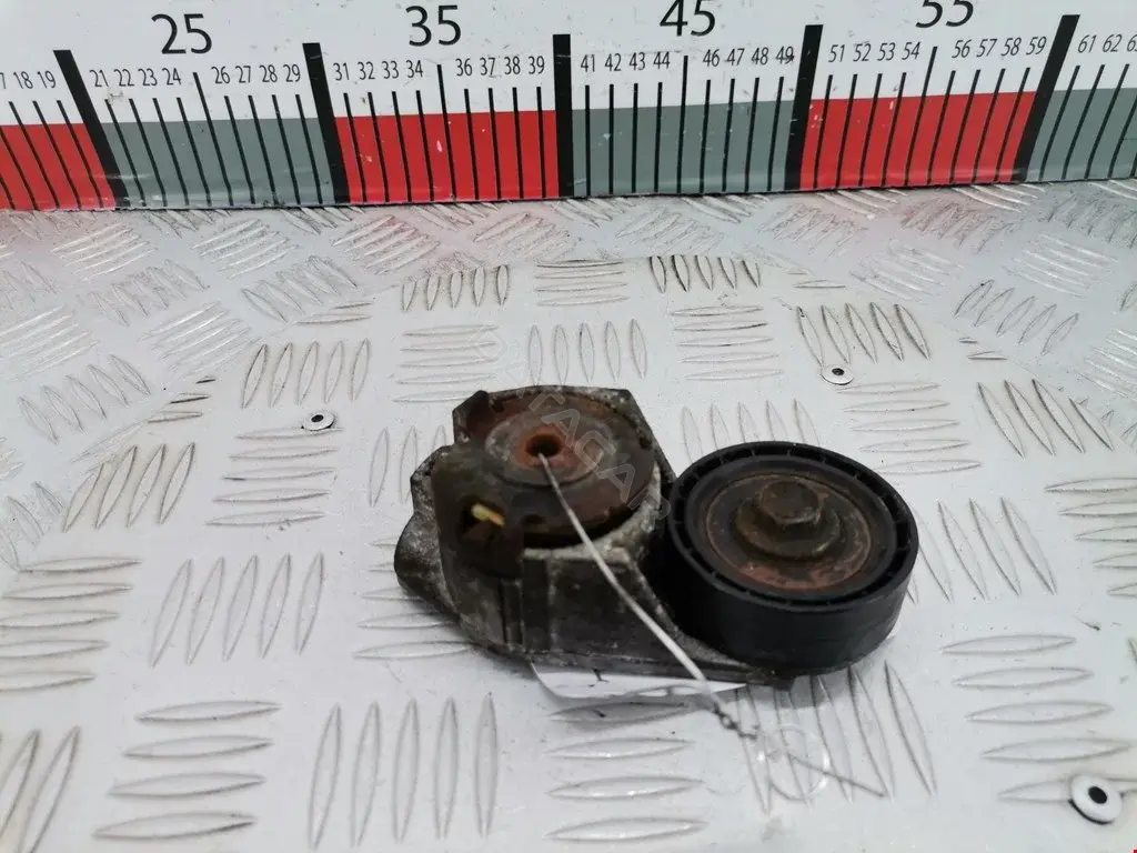 Натяжитель ремня генератора 0220A60FD, 0340334SX, 0340515SX