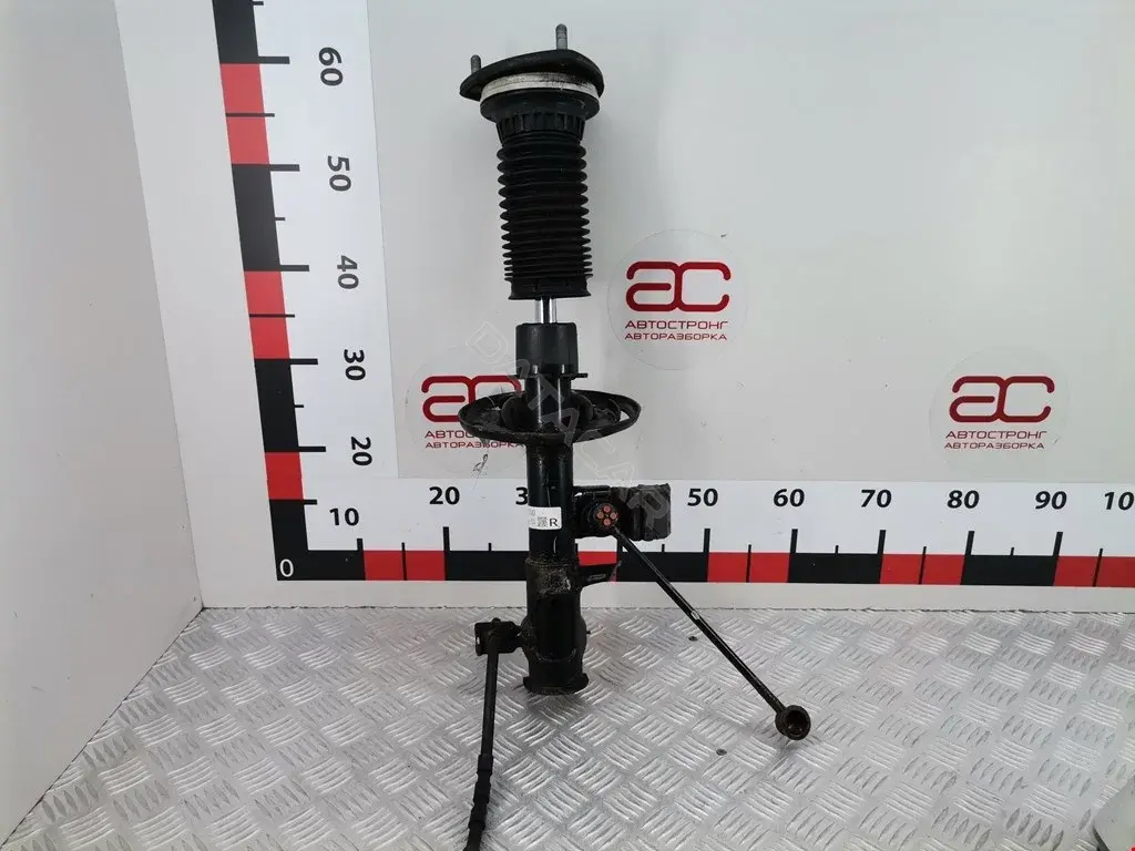Амортизаторы DD1V34700