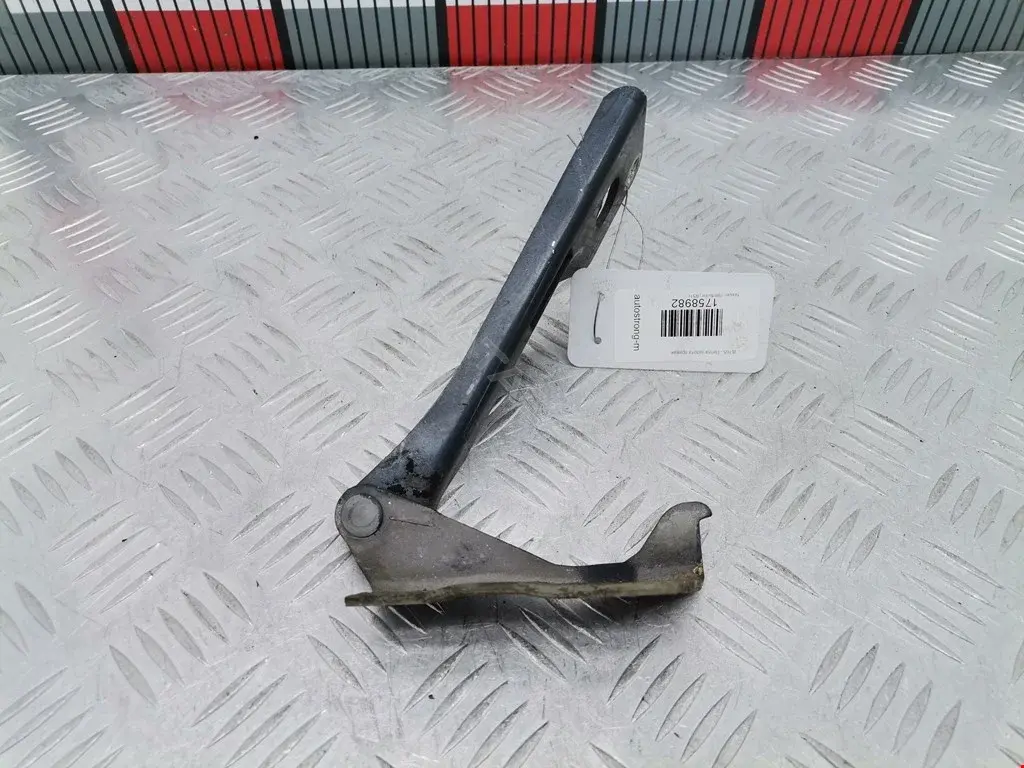 Петля капота 65400ZP00A, NS9793R