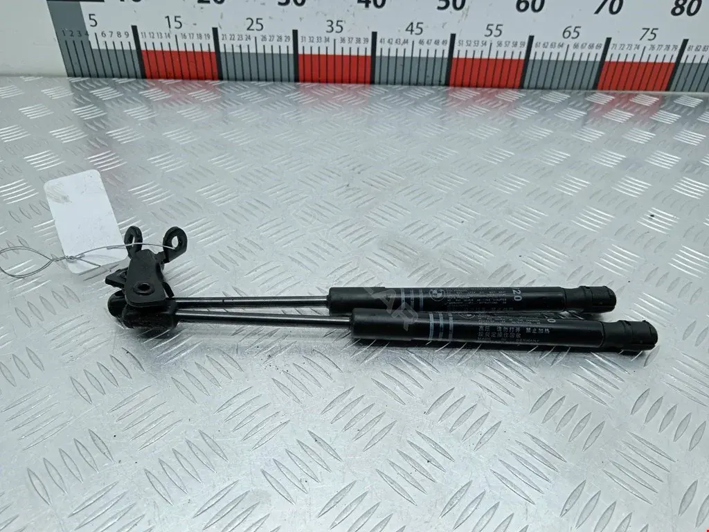 Амортизатор крышки багажника, капота, заднего стекла 51237309117
