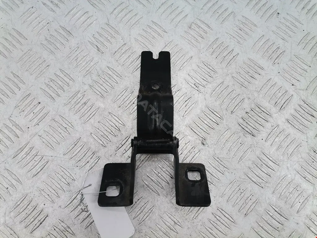 Петля крышки багажника 41617130870