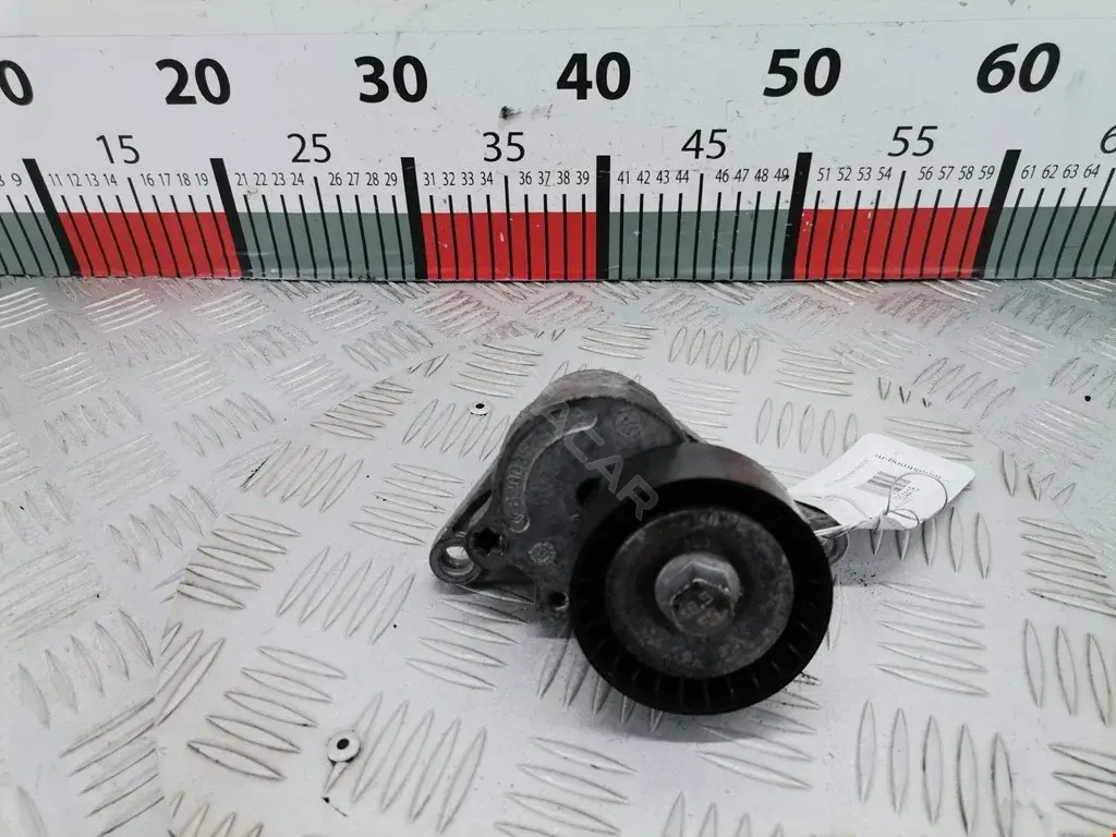 Натяжитель ремня генератора 1172000Q0C, 184509, 529031710