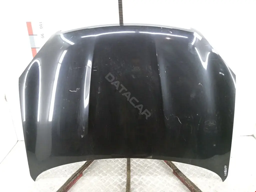 Капот 1617280, 3388660, DS7103100