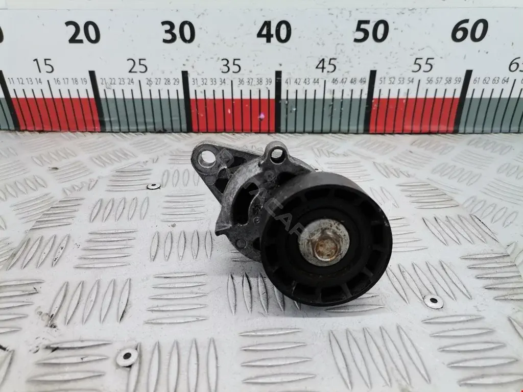 Натяжитель ремня генератора 1175000Q0F, 1192500Q0D, 1192500QAA